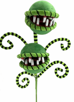 26