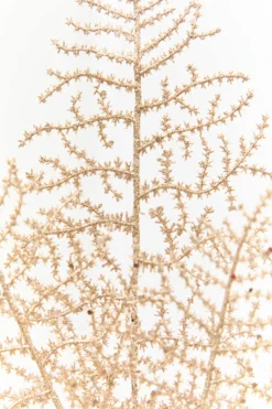 35" Champagne Glitter Fern Spray