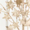 31" Champagne Star Spray