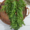 32” Christmas Cedar/Hemlock Swag