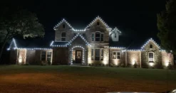 C9 Platinum Elite LED SMD Bulb (25 bulbs/bag) - Faceted, Cool White