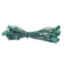 C7 Socket Cord - 100' 6" Spacing