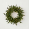 24" Dandan Green Plug-In Wreath with Warm White LED Lights