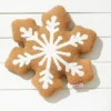 Embroidery Snowflake Pillow - Brown