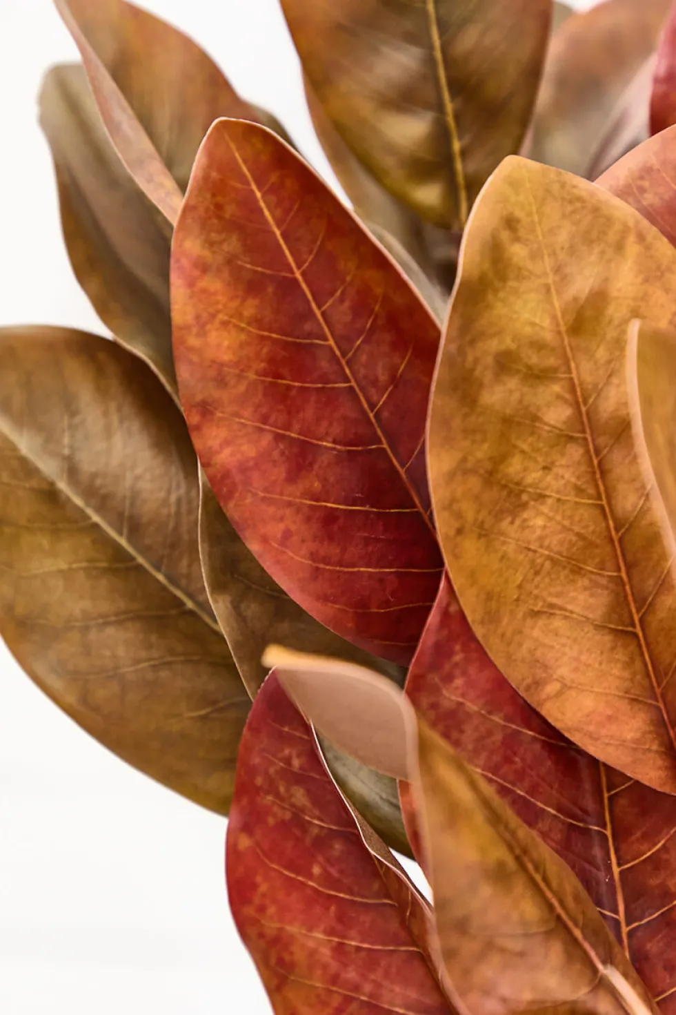 45" Fall Magnolia Leaf Spray