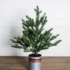 24” Farmhouse Potted Snowy Pine Tree