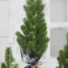 Flocked Pine Tree With Plaid Fabric - Large