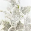 19" Frosted Holly Bush
