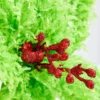 11" Green Furry Feather Fabric Poinsettia