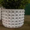 4"H x 5”D Stone Geo Dotted Hobnail Pot