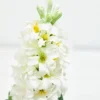 17" Hyacinth Spray