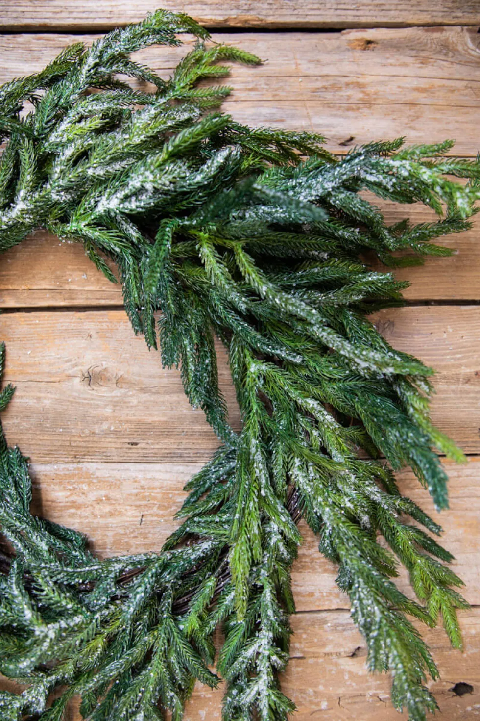 24” Iced Garden Norfolk Pine Wreath