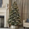 7.5' Lexington Fir Tree with 500 Warm White LED Lights