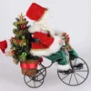 Lighted Santa Biking Through Christmas