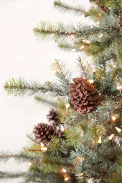 7.5' Mammoth Pine Christmas Tree with 900 Lights