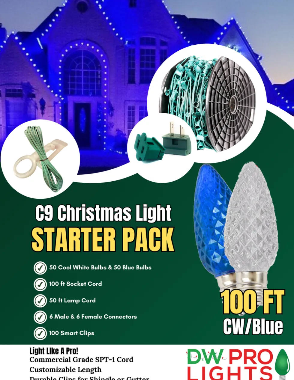 100' Outdoor Christmas Lighting Kit - Cool White/Blue