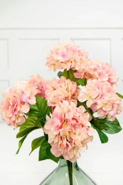 20.5" Peach Hydrangea Bush