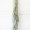 6' Pine Weeping Garland with Frost