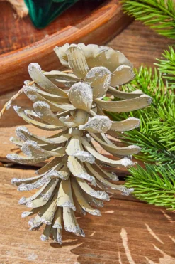 5” Plastic Glitter Long Leaf Pinecone
