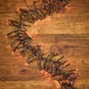 12.5' Platinum Elite Cluster Lights - 380L Orange (Black Cord)
