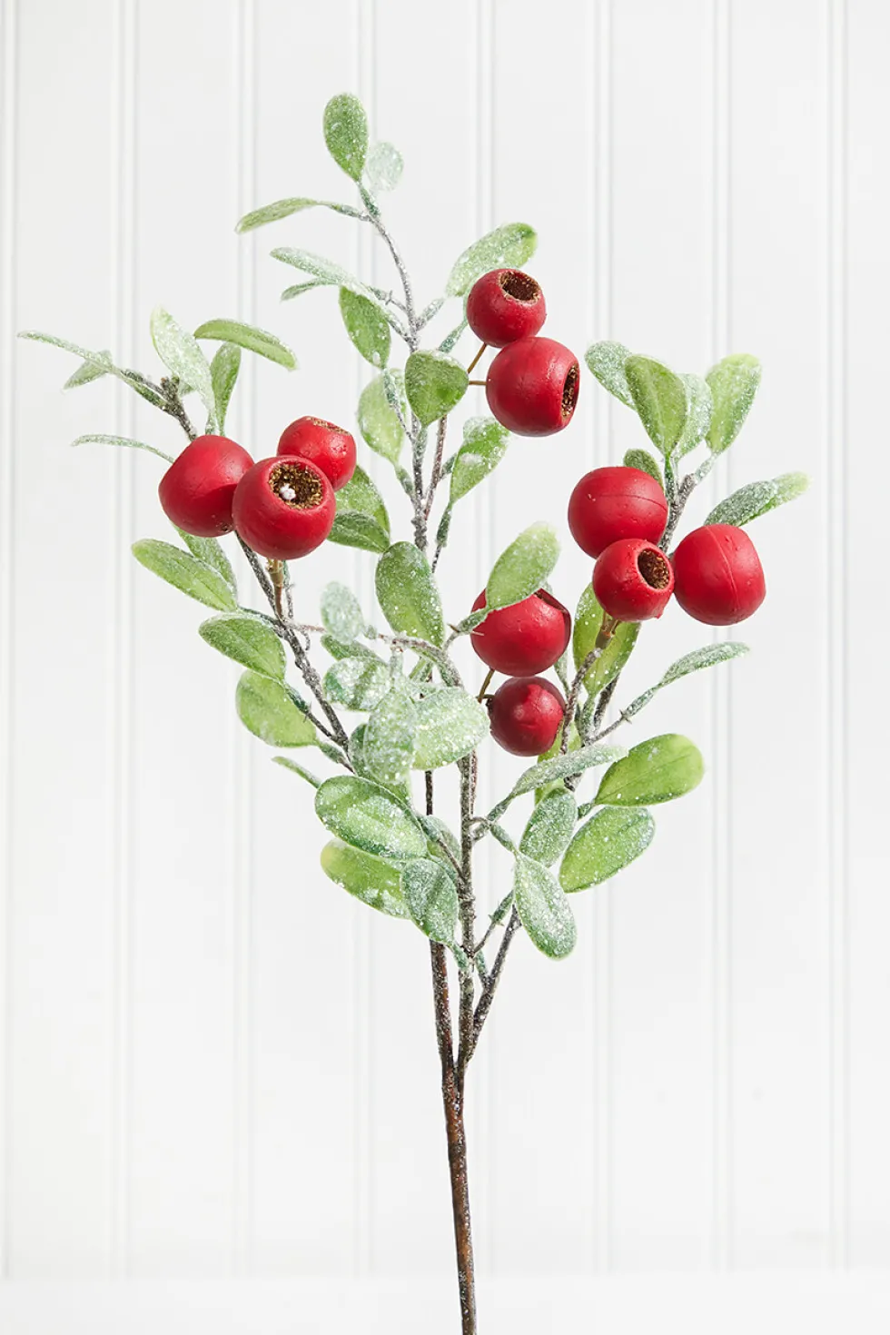 20” Pod Leaf Frosted Christmas Spray