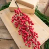 35” Red Orchard Berry Stalk
