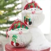 5" Santa Head Glass Ornament