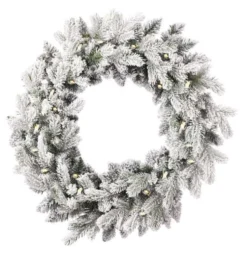 24" Shadow Woods Flocked Spruce Wreath with Warm White LED Lights