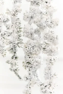 25" Snowy Hanging Berry Branch