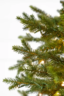 7.5' Southern Fir with 1400 3mm Lights