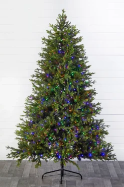 7.5' Southern Fir with 1400 3mm Lights