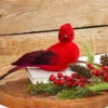 13" Velvet & Feather Cardinal Clip Ornament
