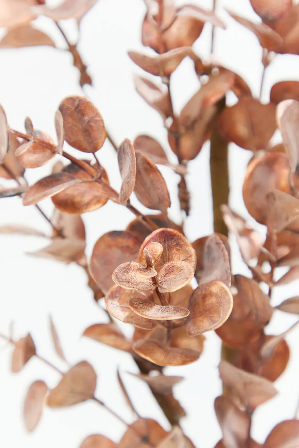 24" Warm Copper Eucalyptus Spray