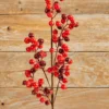 27" WP Berry Spray X 5
