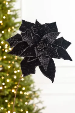 19" x 14" Black Velvet Poinsettia Stem