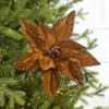 19" x 12" Brown Poinsettia Stem