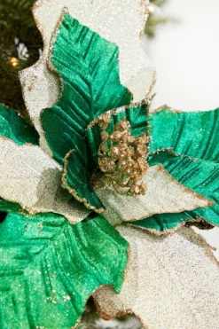 19" x 12" Green Champagne Poinsettia Stem