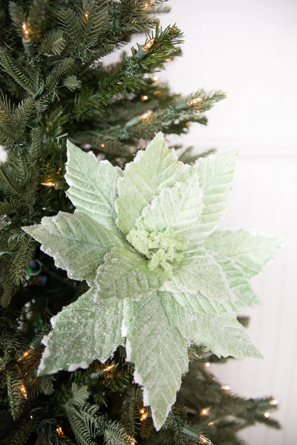 20” x 14" Mint Sugared Poinsettia Stem