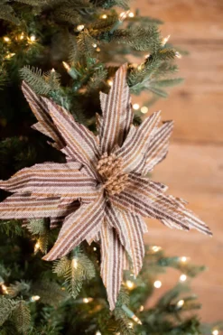 22” x 15" Natural Brown Striped Poinsettia Stem