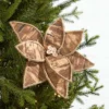 19" x 10" Natural Poinsettia Stem