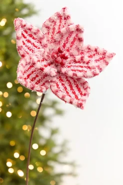 20" x 11" Red & White Poinsettia Stem
