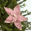 20" x 12" Striped Poinsettia Stem