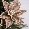 22” x 13" Stripe Poinsettia Stem