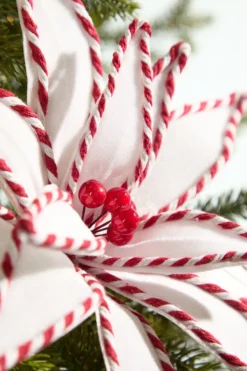 19" x 12" White and Red Poinsettia Stem