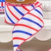 2.5" x 10 Yards 4th Of July Ribbon- Stripes